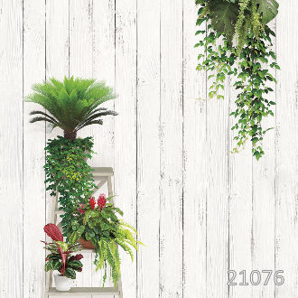 Зеленый оазис