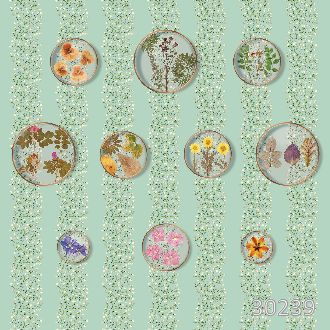 Ботаническая коллекция