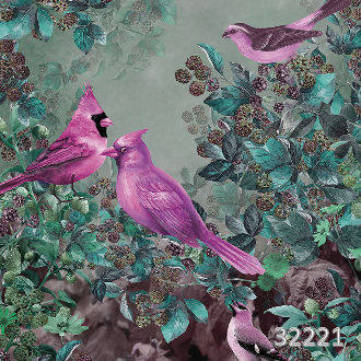 Ashford garden spring morning