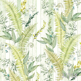 Tropics in the trees day