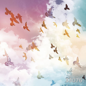 Птицы в небе