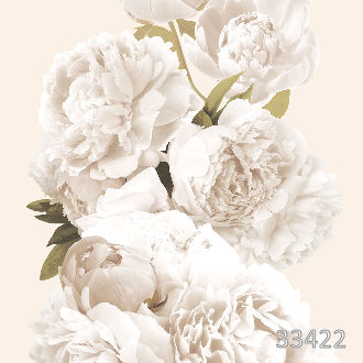 Кремовые пионы