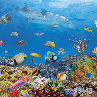 Коралловый риф