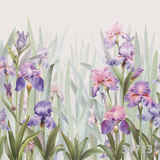 Ирисы в саду