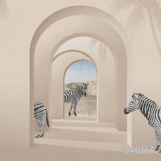 Zebras in space