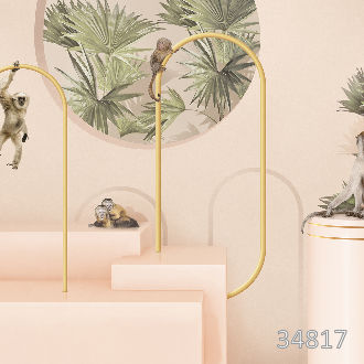 Обезьяны в пространстве