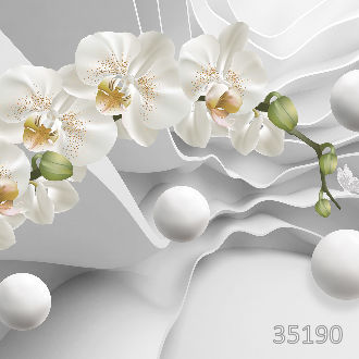 Белоснежные орхидеи